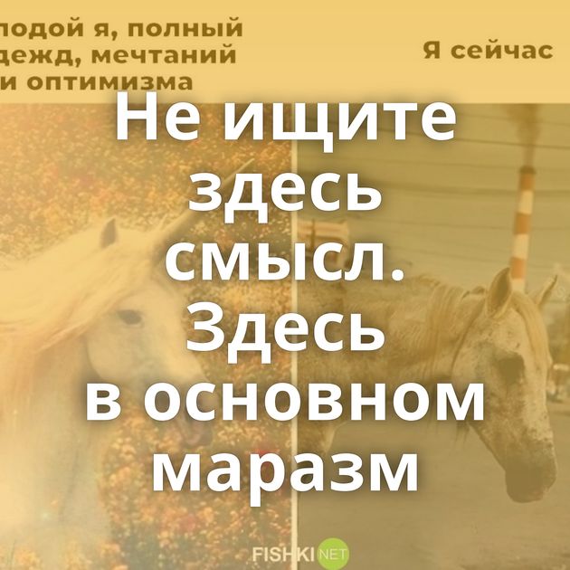 Не ищите здесь смысл. Здесь в основном маразм