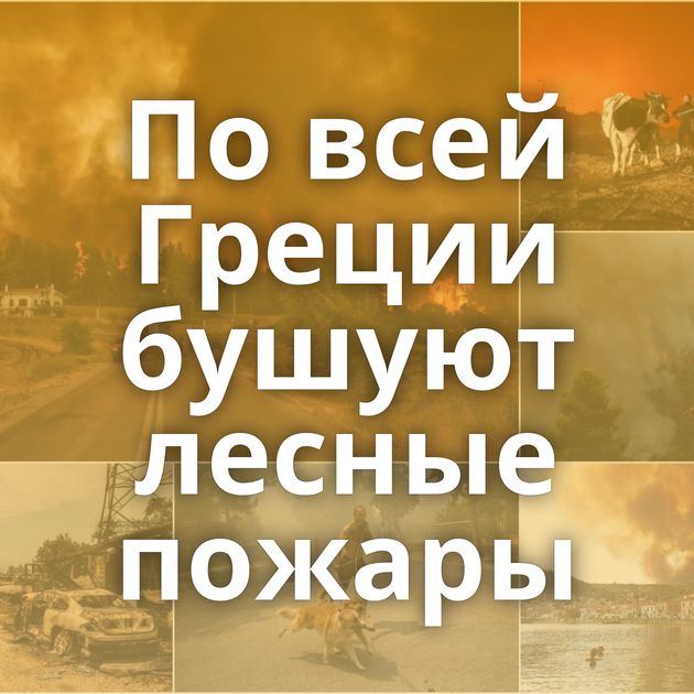 По всей Греции бушуют лесные пожары