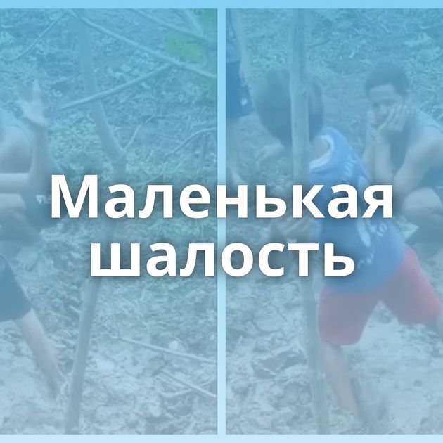 Маленькая шалость