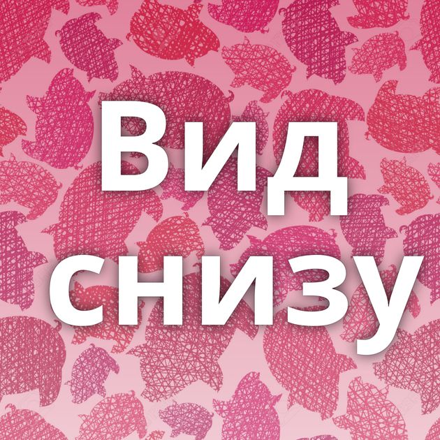 Вид снизу