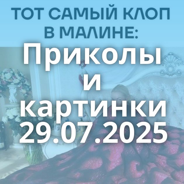 Приколы и картинки 29.07.2025