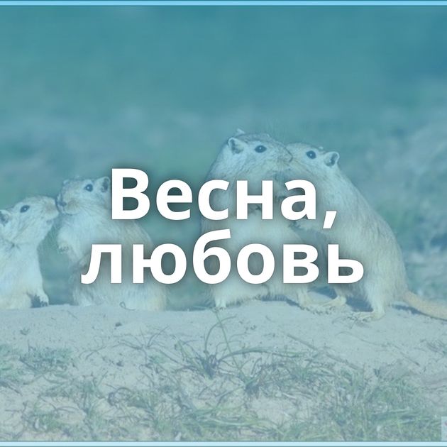 Весна, любовь