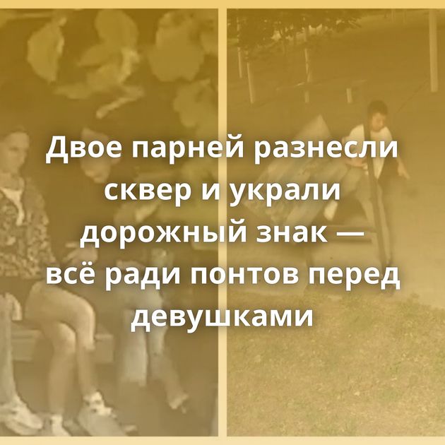 Двое парней разнесли сквер и украли дорожный знак — всё ради понтов перед девушками