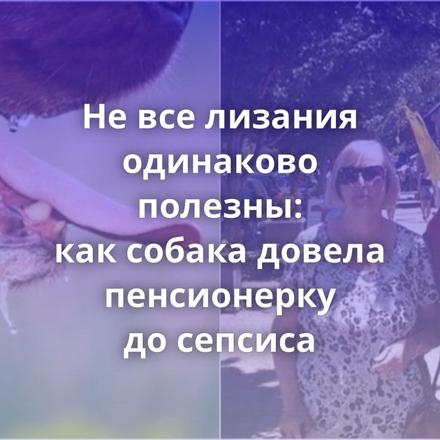 Не все лизания одинаково полезны: как собака довела пенсионерку до сепсиса