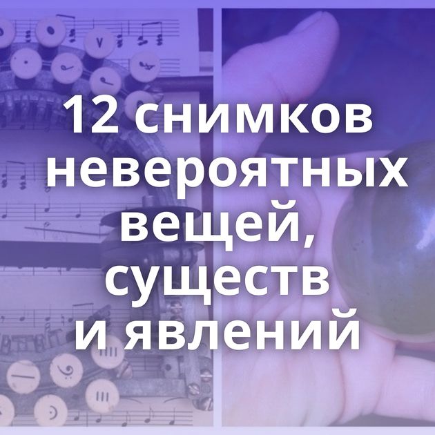 12 снимков невероятных вещей, существ и явлений