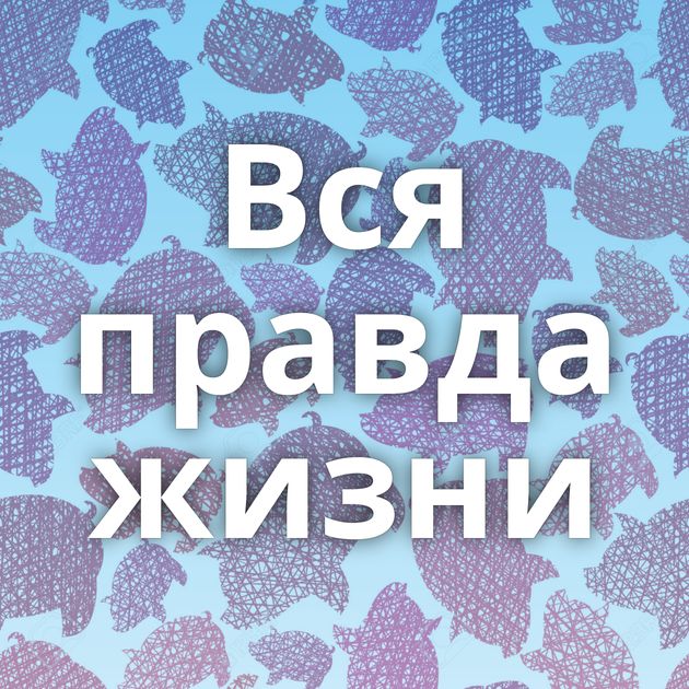 Вся правда жизни