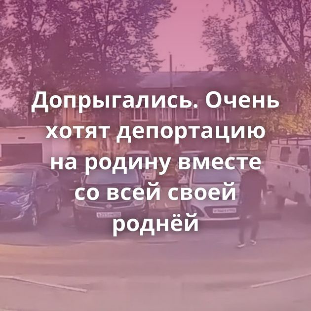Допрыгались. Очень хотят депортацию на родину вместе со всей своей роднёй