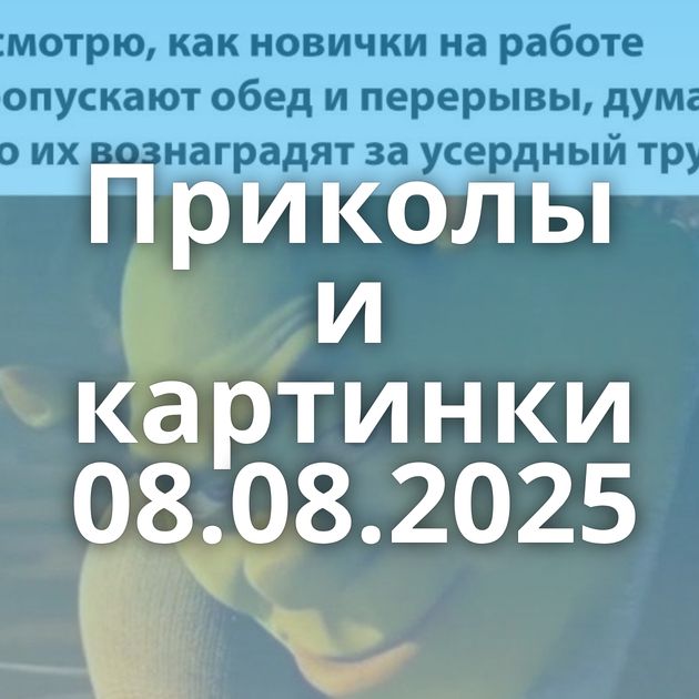 Приколы и картинки 08.08.2025