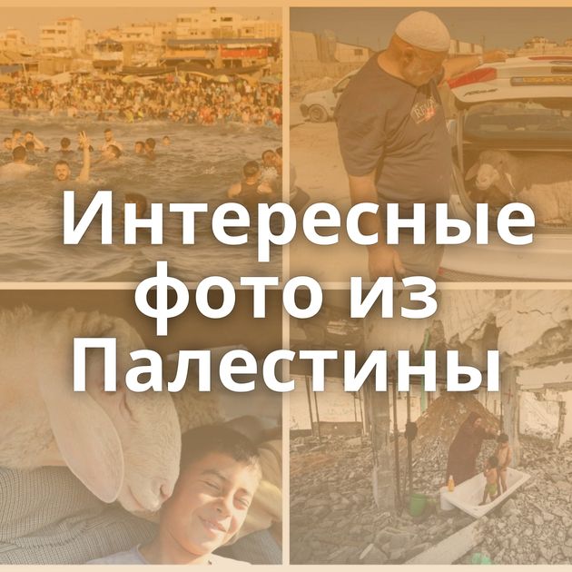 Интересные фото из Палестины