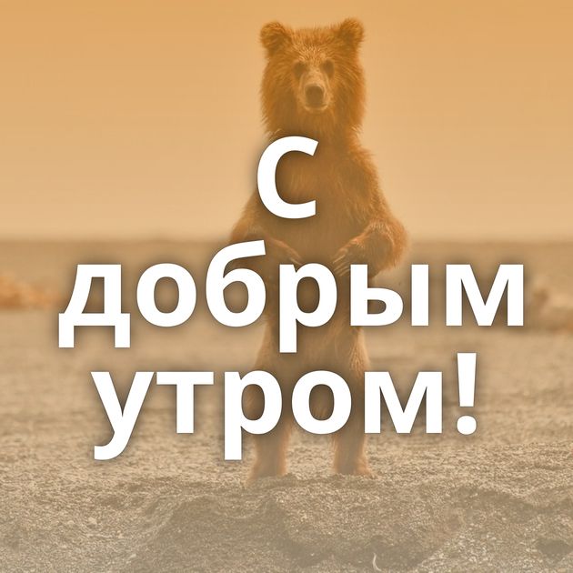 С добрым утром!