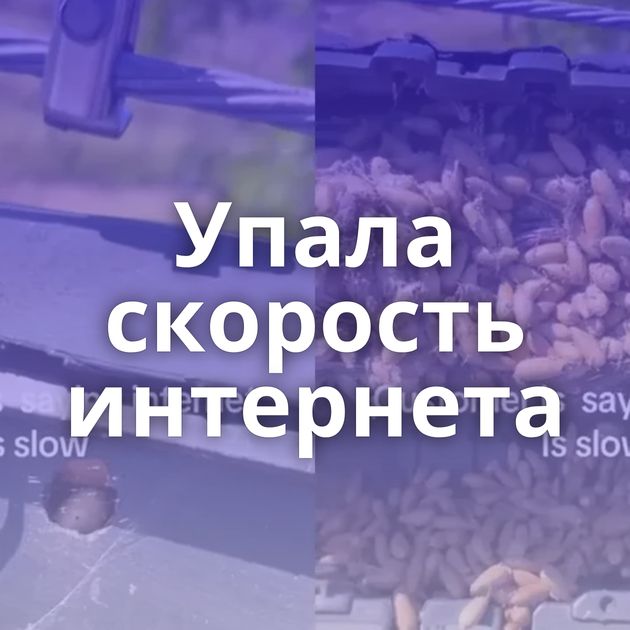 Упала скорость интернета