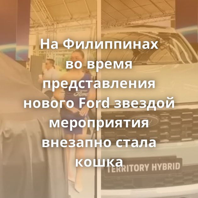 На Филиппинах во время представления нового Ford звездой мероприятия внезапно стала кошка