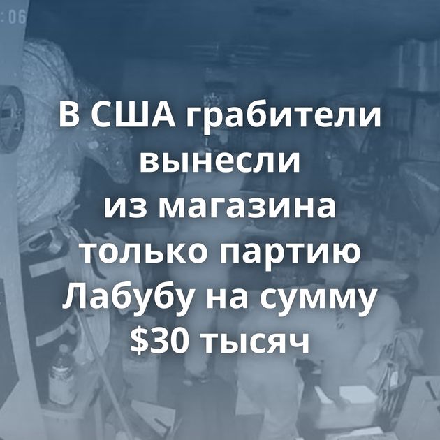 В США грабители вынесли из магазина только партию Лабубу на сумму $30 тысяч