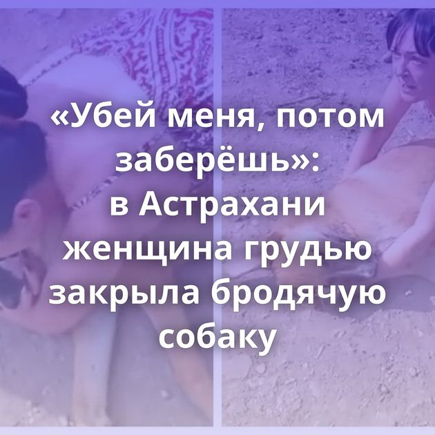 «Убей меня, потом заберёшь»: в Астрахани женщина грудью закрыла бродячую собаку