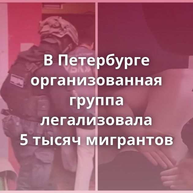 В Петербурге организованная группа легализовала 5 тысяч мигрантов