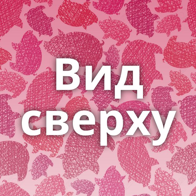 Вид сверху⁠⁠