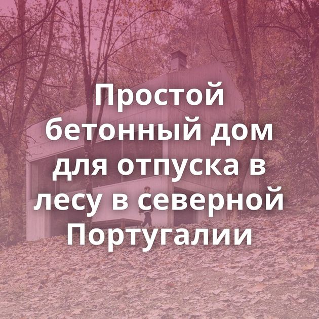 Простой бетонный дом для отпуска в лесу в северной Португалии