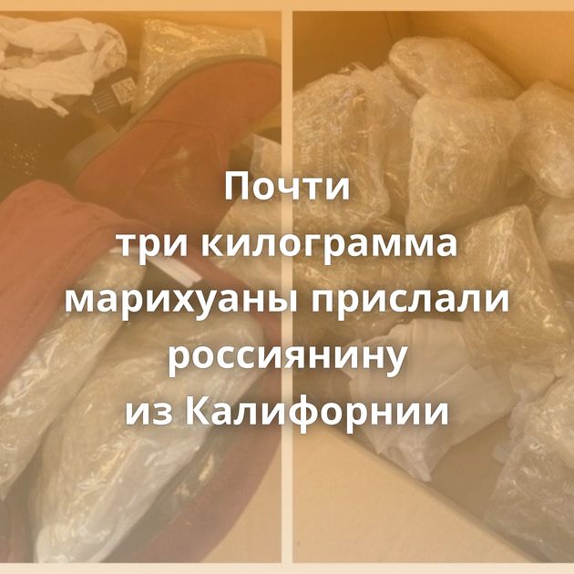 Почти три килограмма марихуаны прислали россиянину из Калифорнии