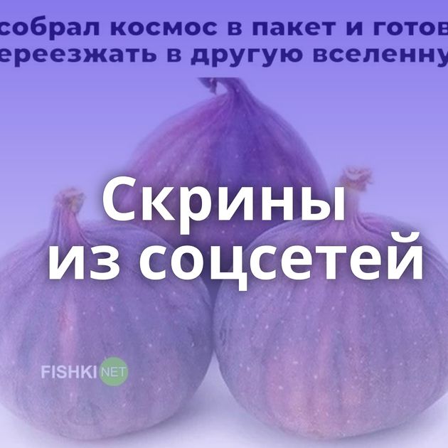 Скрины из соцсетей