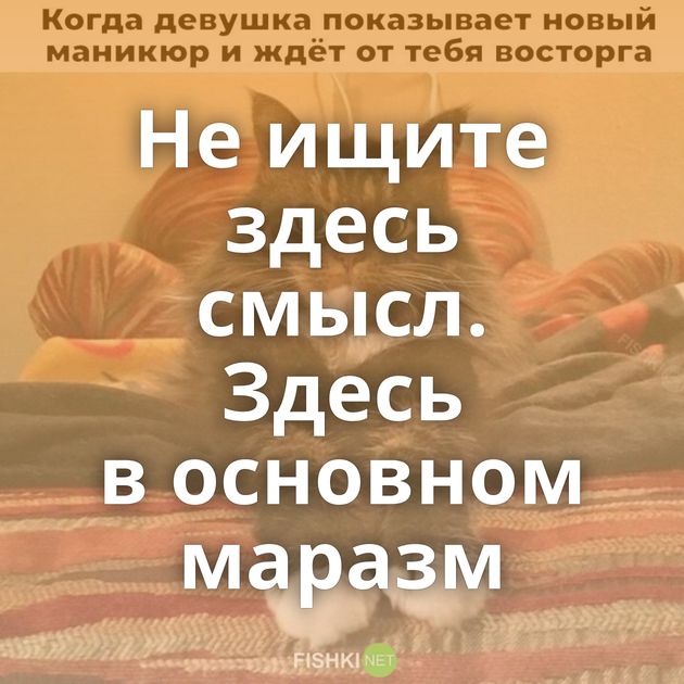 Не ищите здесь смысл. Здесь в основном маразм