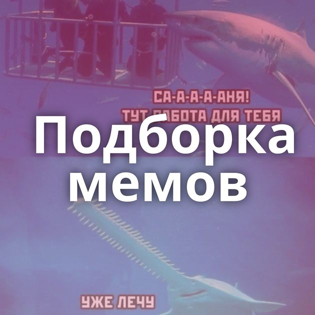 Подборка мемов