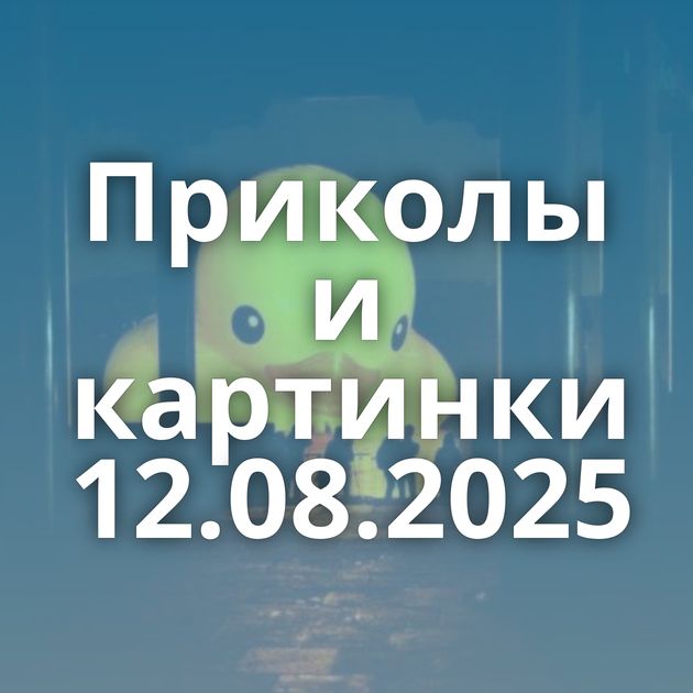 Приколы и картинки 12.08.2025