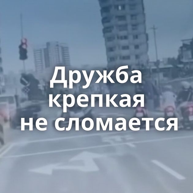 Дружба крепкая не сломается