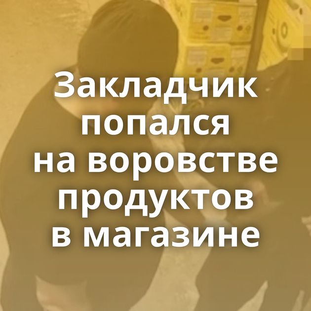 Закладчик попался на воровстве продуктов в магазине