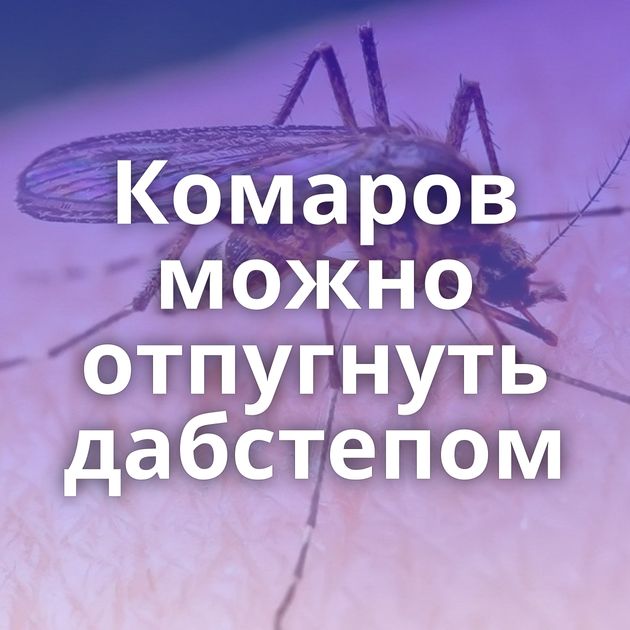 Комаров можно отпугнуть дабстепом