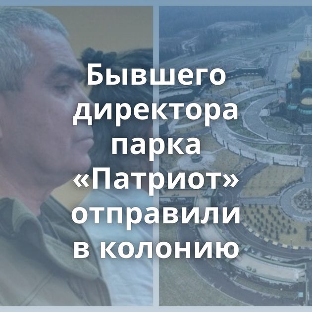 Бывшего директора парка «Патриот» отправили в колонию