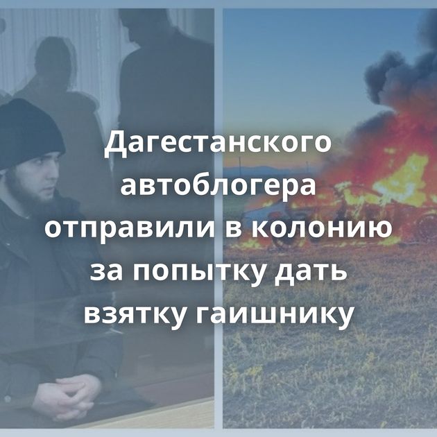 Дагестанского автоблогера отправили в колонию за попытку дать взятку гаишнику
