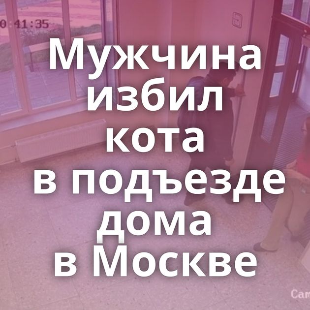 Мужчина избил кота в подъезде дома в Москве