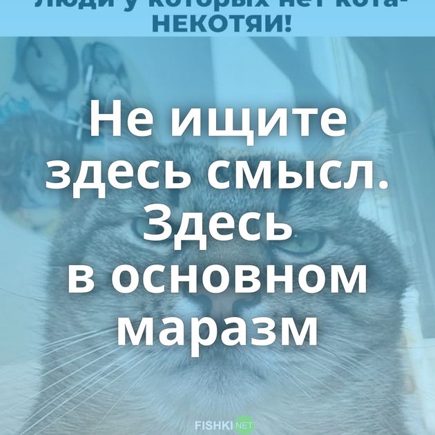 Не ищите здесь смысл. Здесь в основном маразм