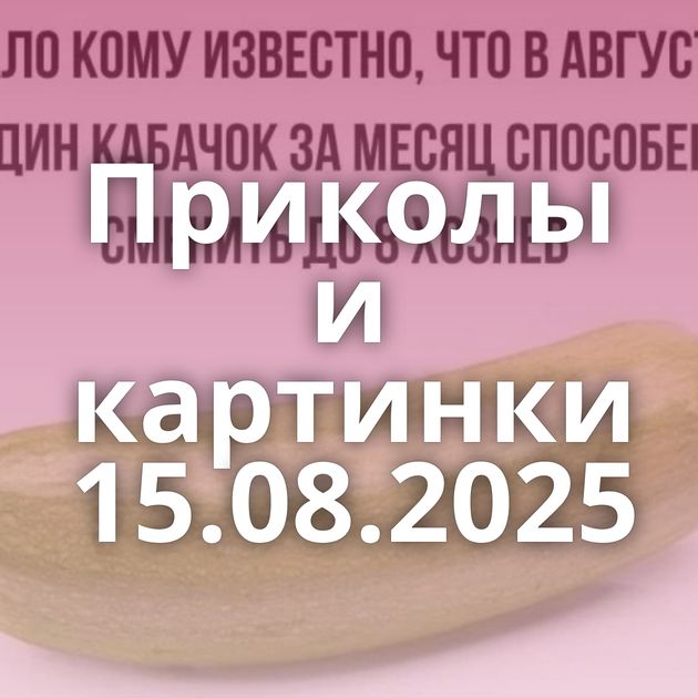 Приколы и картинки 15.08.2025