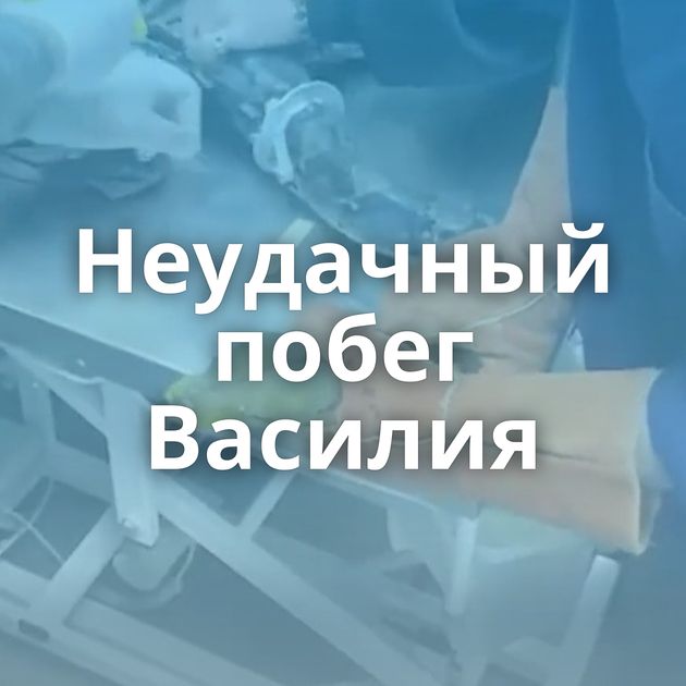 Неудачный побег Василия