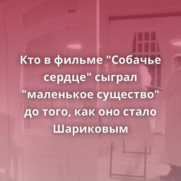 Кто в фильме 