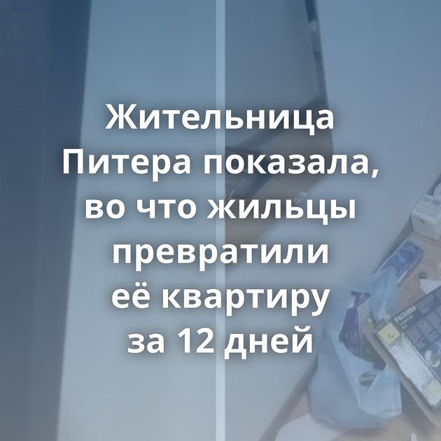 Жительница Питера показала, во что жильцы превратили её квартиру за 12 дней