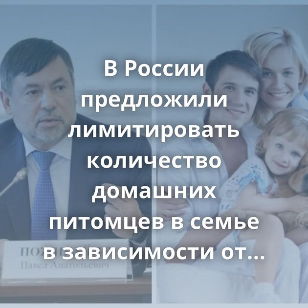 В России предложили лимитировать количество домашних питомцев в семье в зависимости от числа детей