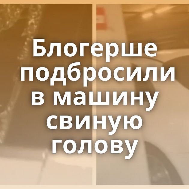 Блогерше подбросили в машину свиную голову