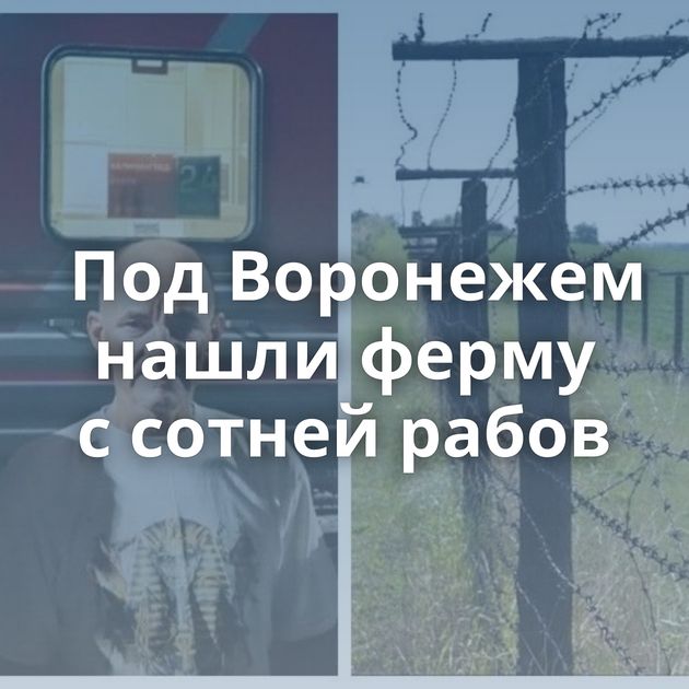 Под Воронежем нашли ферму с сотней рабов