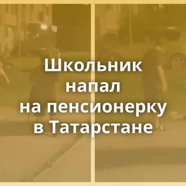 Школьник напал на пенсионерку в Татарстане