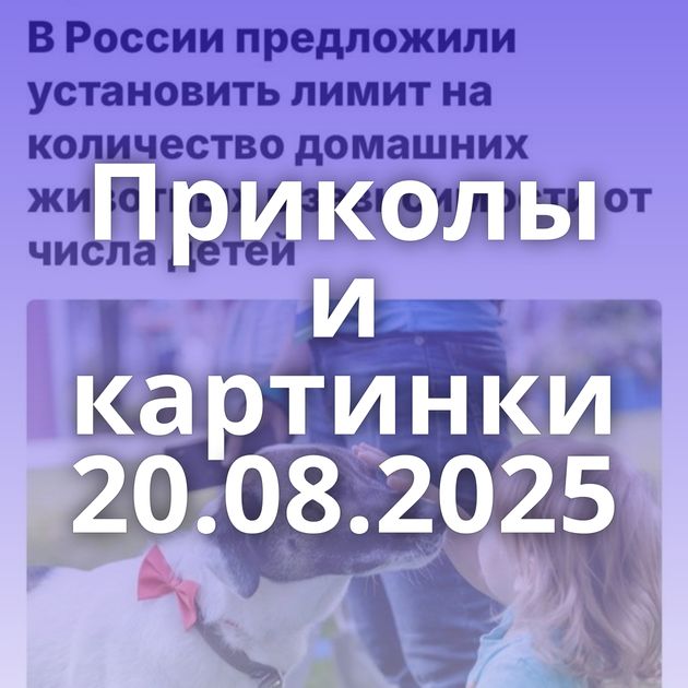 Приколы и картинки 20.08.2025