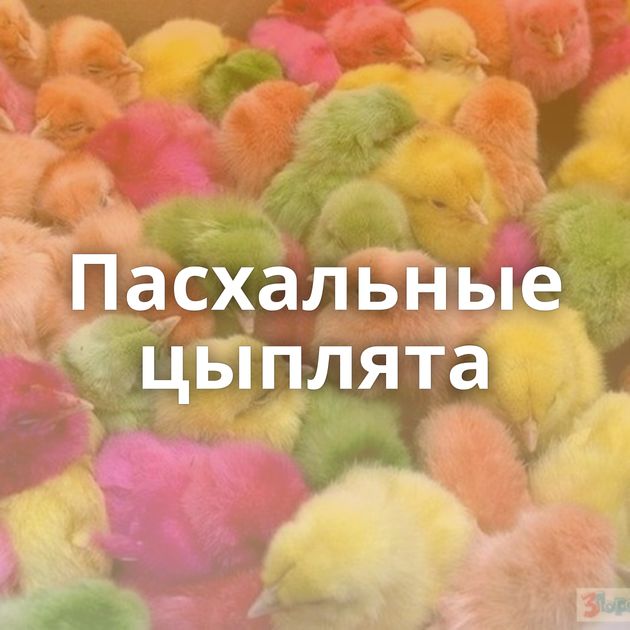 Пасхальные цыплята