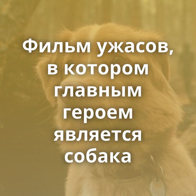 Фильм ужасов, в котором главным героем является собака