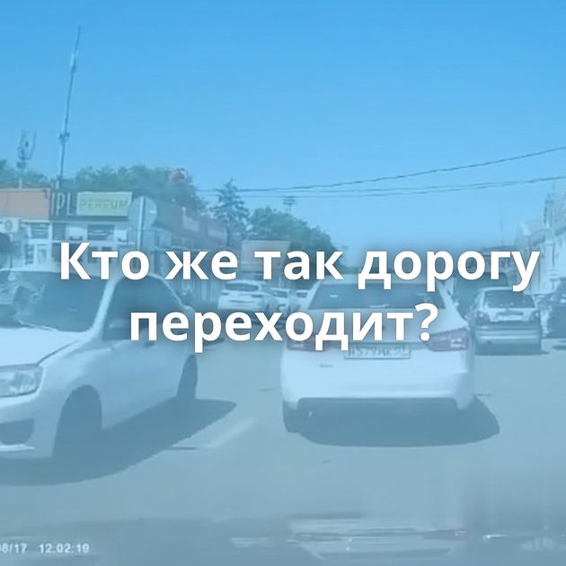 Кто же так дорогу переходит?