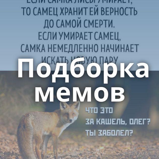 Подборка мемов