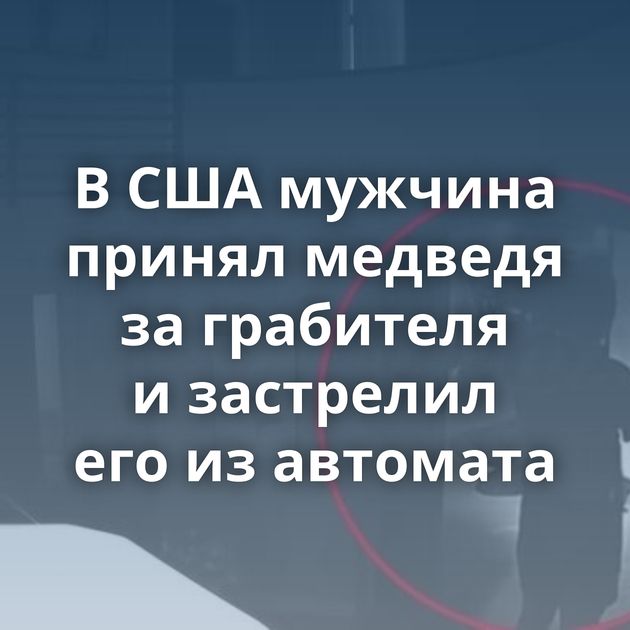 В США мужчина принял медведя за грабителя и застрелил его из автомата