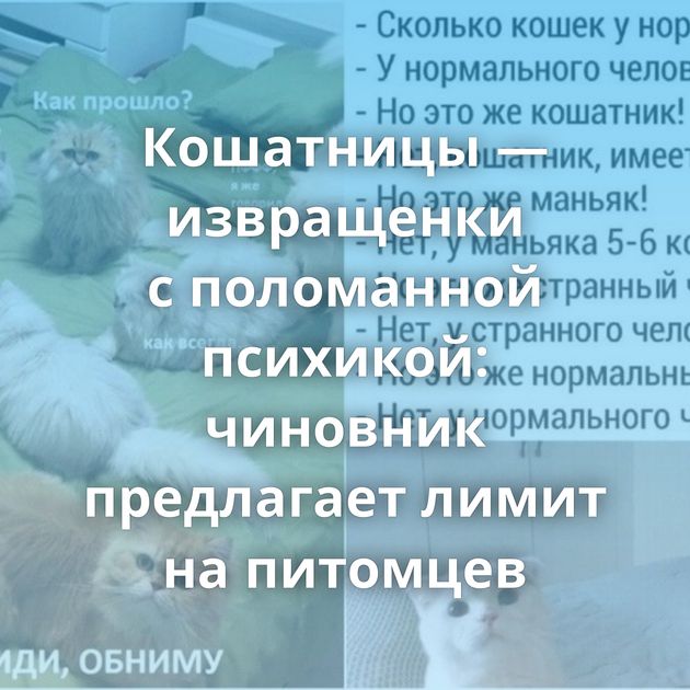 Кошатницы — извращенки с поломанной психикой: чиновник предлагает лимит на питомцев