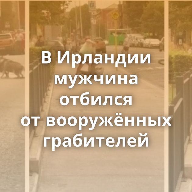В Ирландии мужчина отбился от вооружённых грабителей