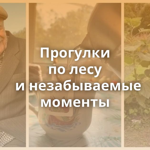 Прогулки по лесу и незабываемые моменты